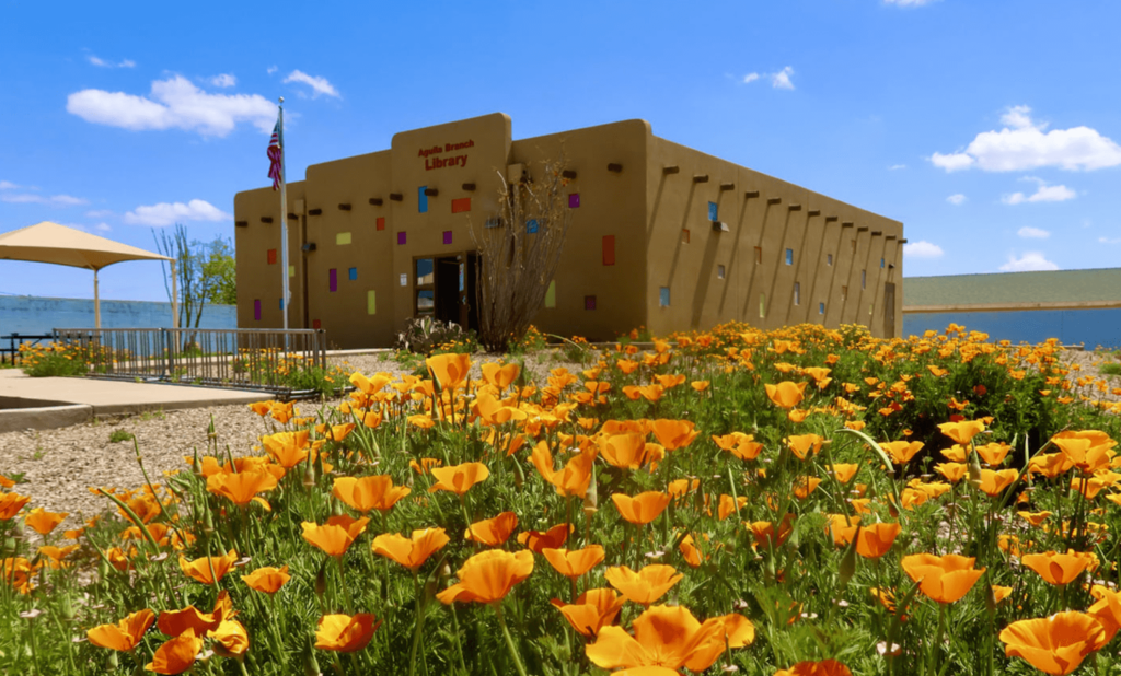 Field of orange flowers in the foreground with the Maricopa County Library and blue skies in the background